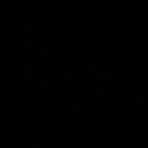 Meet your Posher, Ericka